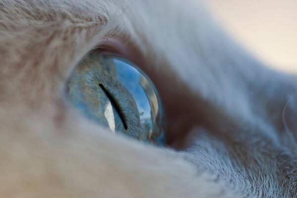 eduardo goody PksstcggqnI unsplash